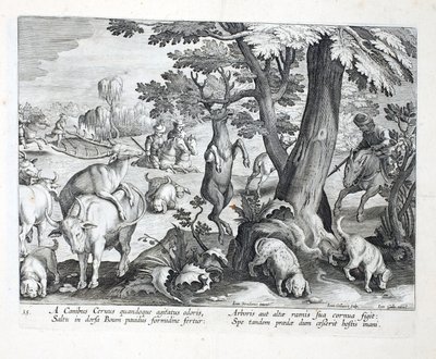 Dogs pursue deer by scent, one jumps in terror, fixing its antlers onto the tall branches of a tree, illustration from 